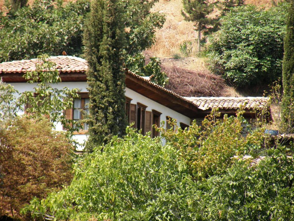 Terrace Houses Sirince Selcuk Room photo